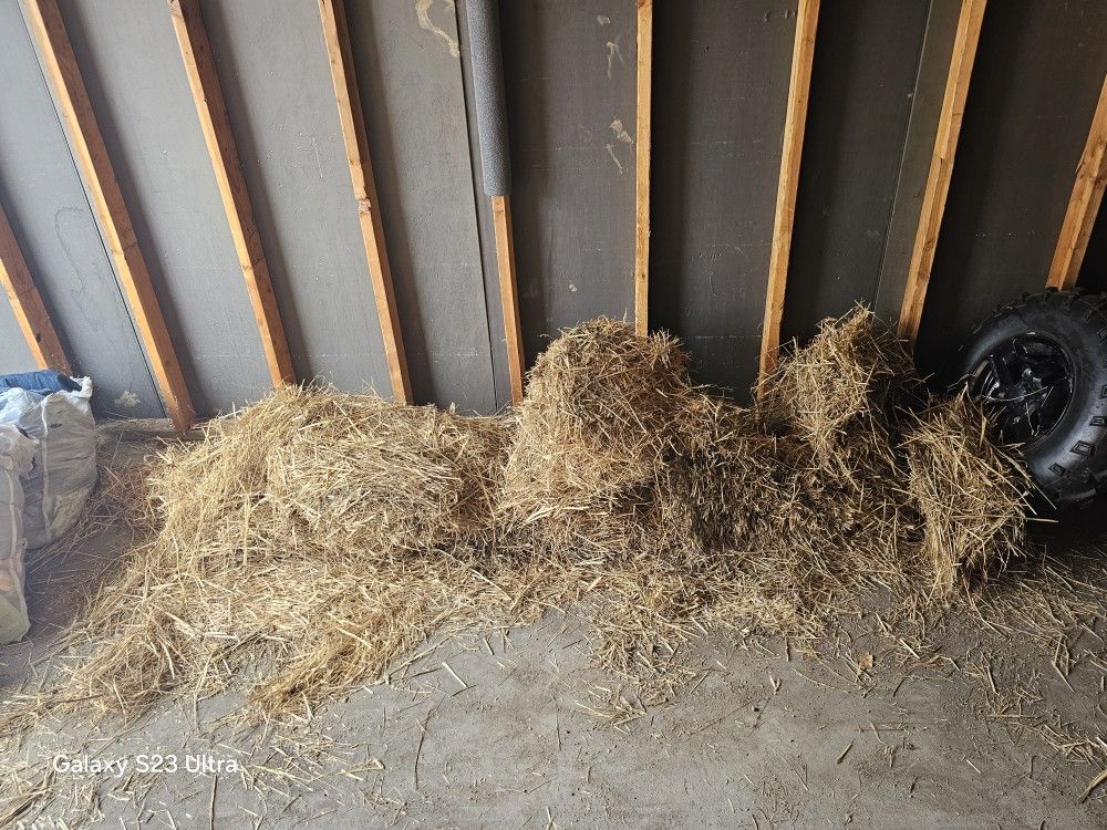 Free Hay