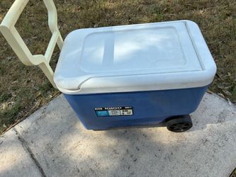 Igloo 38qt Cooler