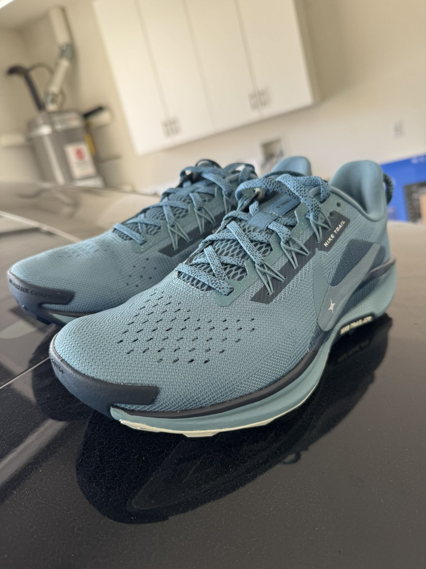 Men’s Nike Pegasus Trail 5 Running Shoes