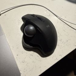 Logitech Ergonomic Mouse