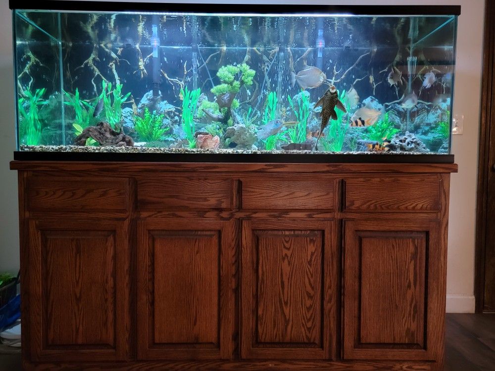 180 Gallon With Stand, Filtration, Uv, Light