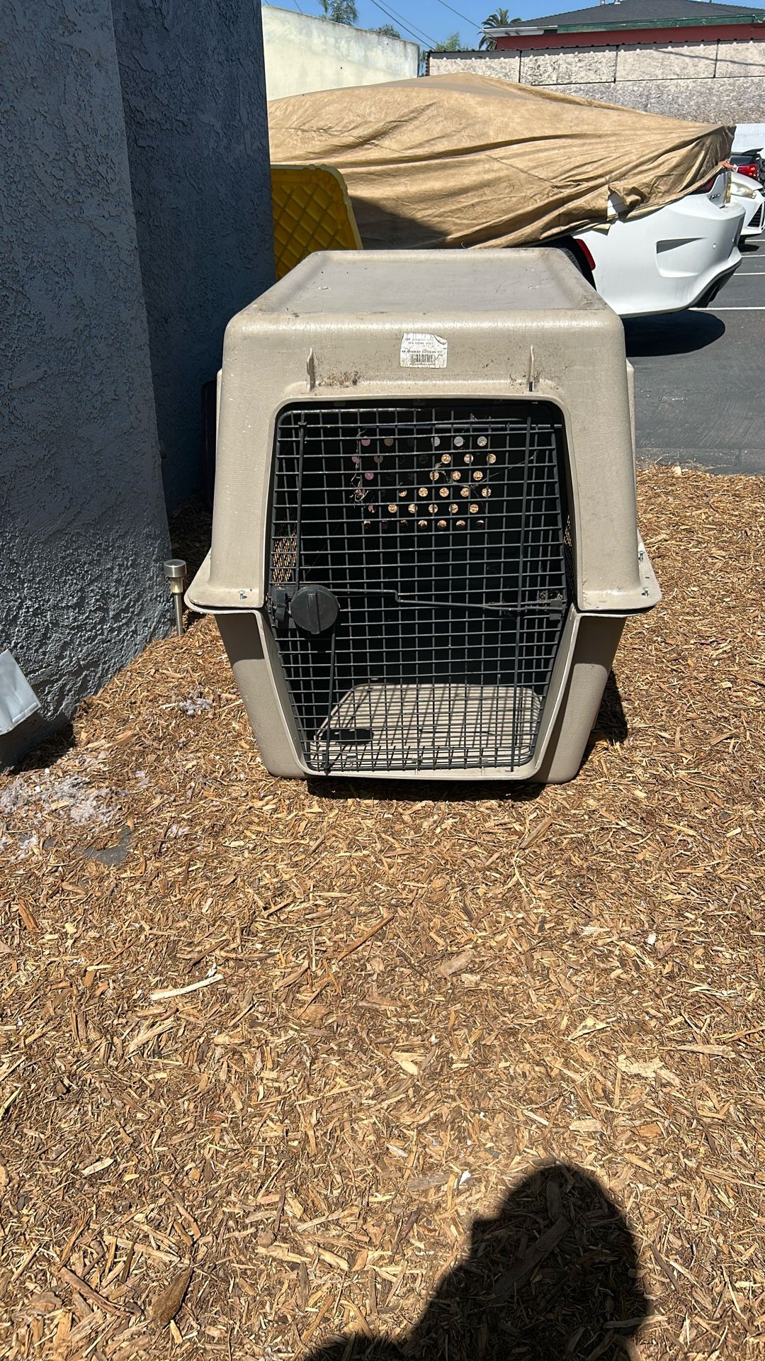 Dog Cage