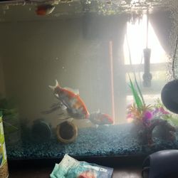 35 Gallon Fish Tank 