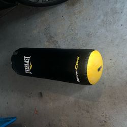 Everlast Punching Bag