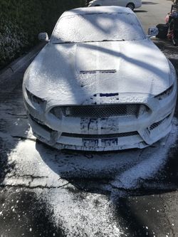 2007 Ford Shelby Gt500