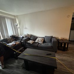 Free Couch And Tables 