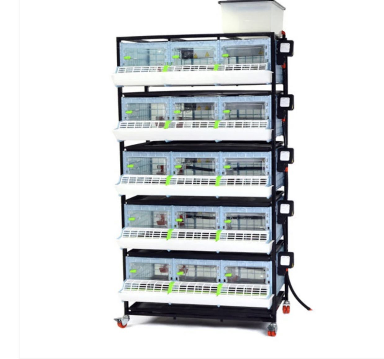 5 Layer Chick Brooder 