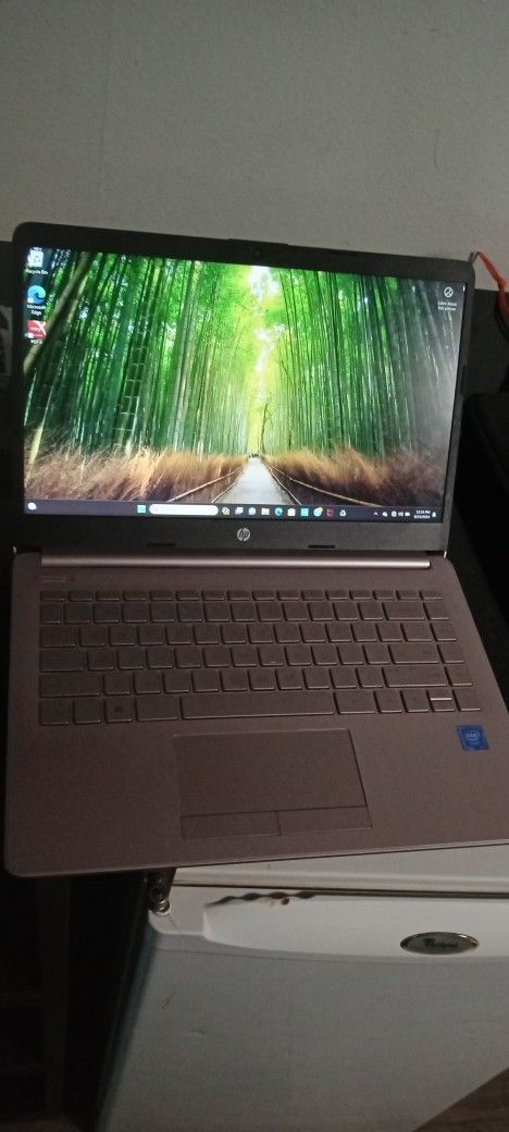 HP Laptop (Pink)