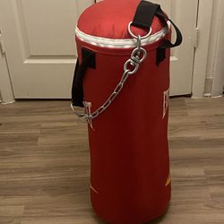Official Punching Bag