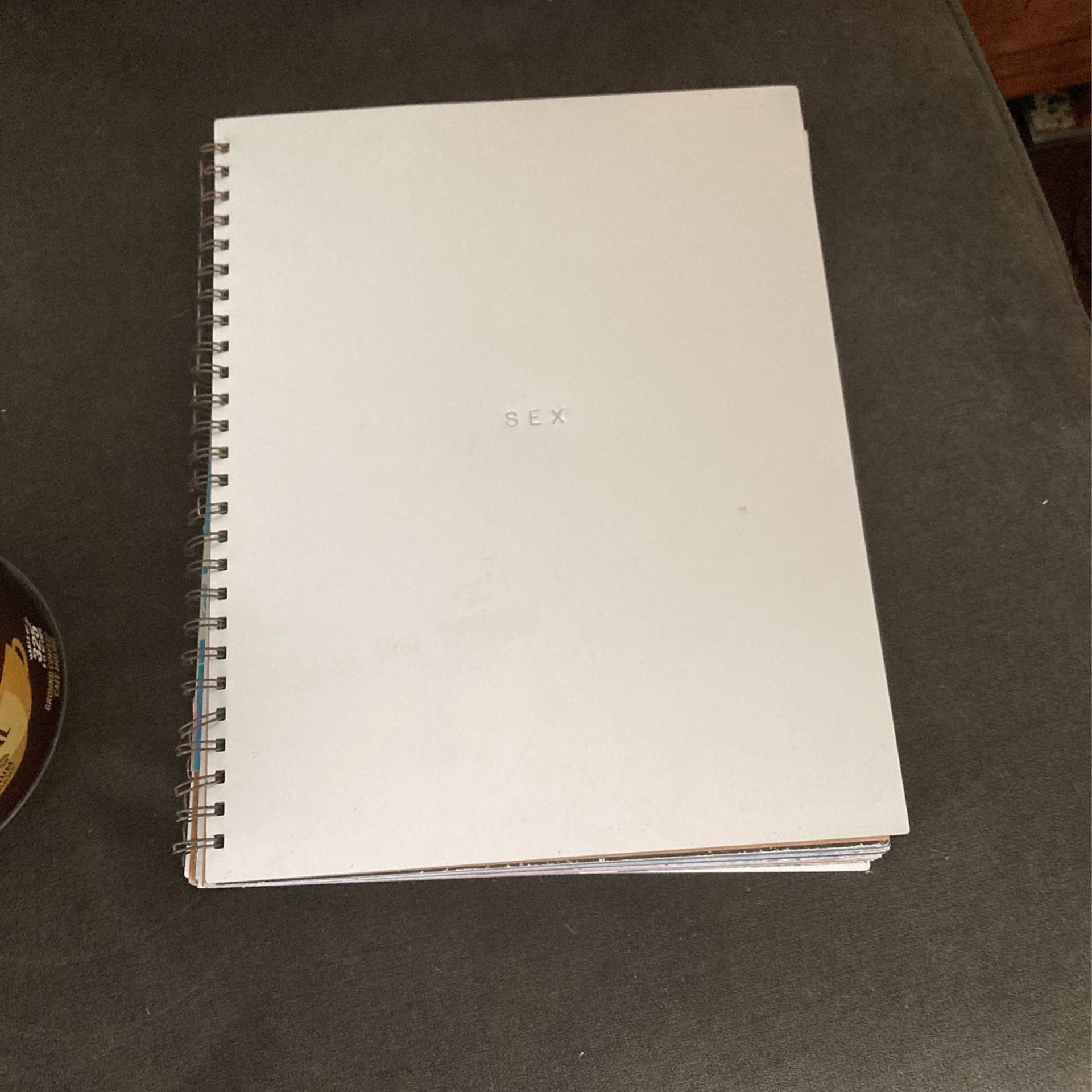 Madonna’s “Seggs” Book