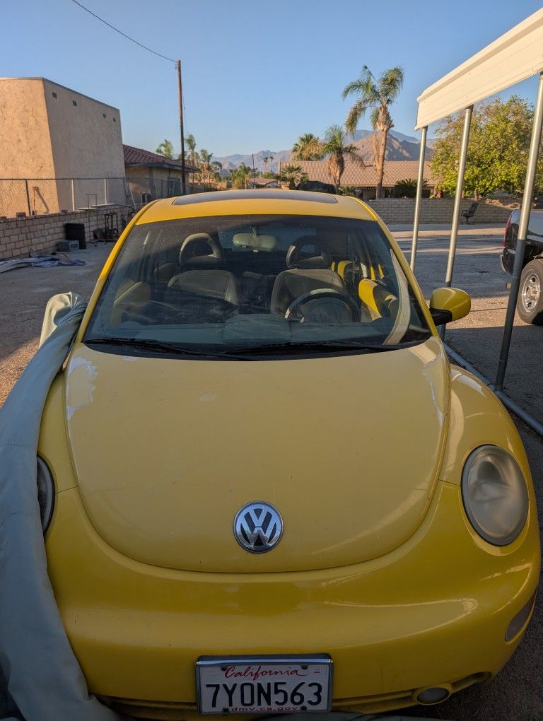 VW bug