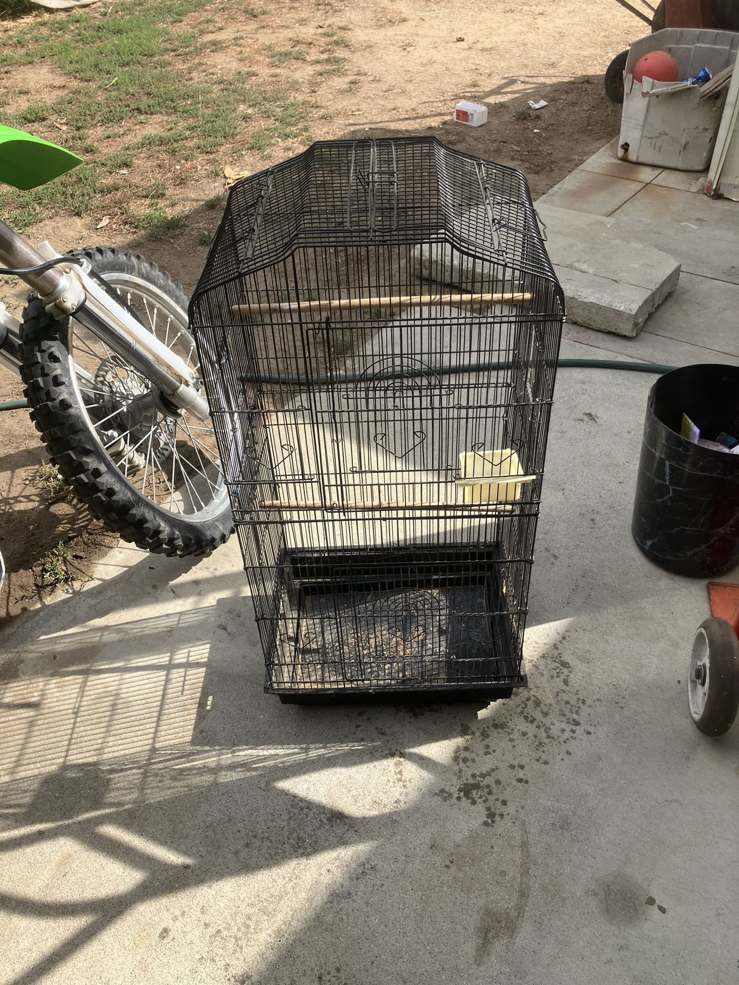 Bird Cage
