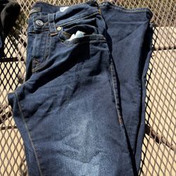 True Religion / Salvage Denim /levis 
