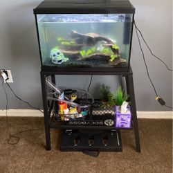 Fish Tank And Stand 30 Gallon 