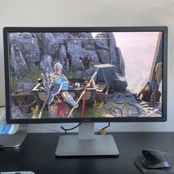Dell 27in Monitor