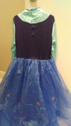 Princess Ana costume dress