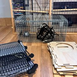 Lionhead Bunny, Cages And Castle For Sale