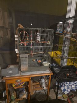 Jaula para aves