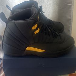 Jordan 12 Taxi 