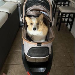 Brand New Dog Stroller 