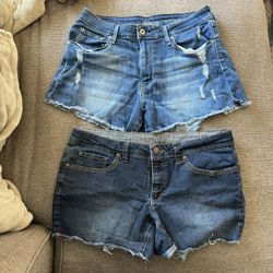 Women’s Shorts Size 12 