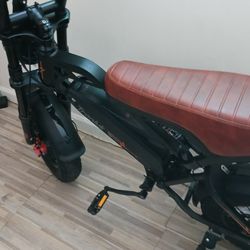 Electric Mountain Bike For Adults