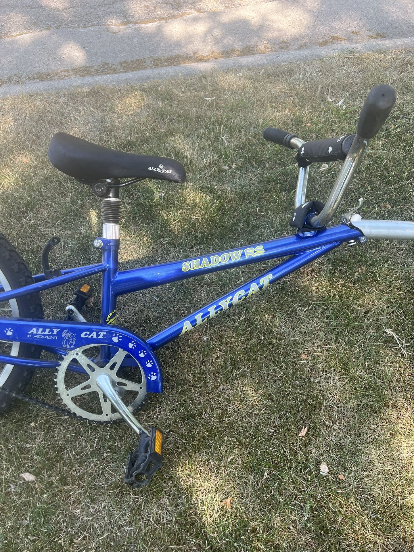 Alley Cat Bike Attachment