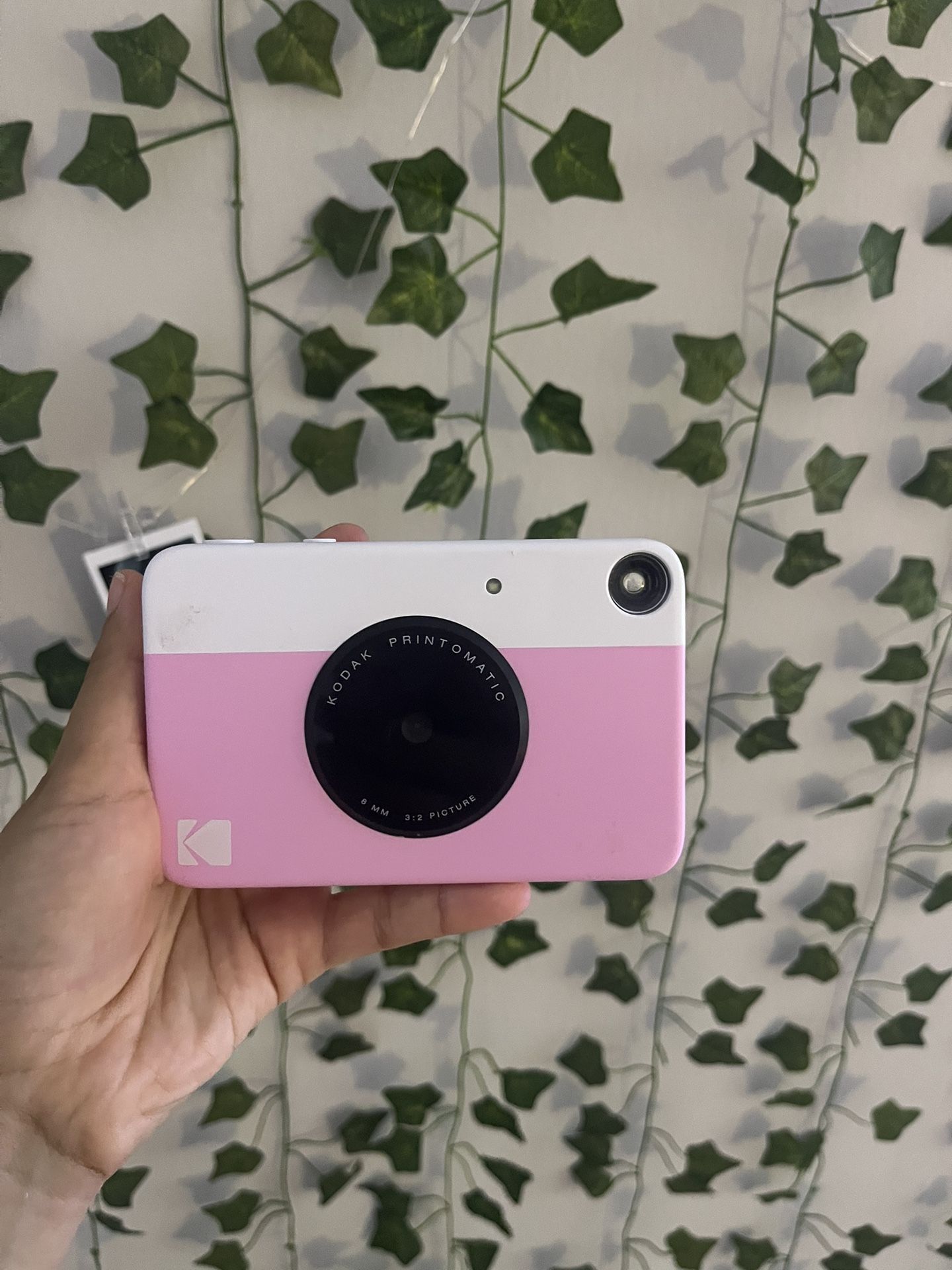 Kodak Printomatic camera 