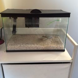 Fish Tank With Heater
