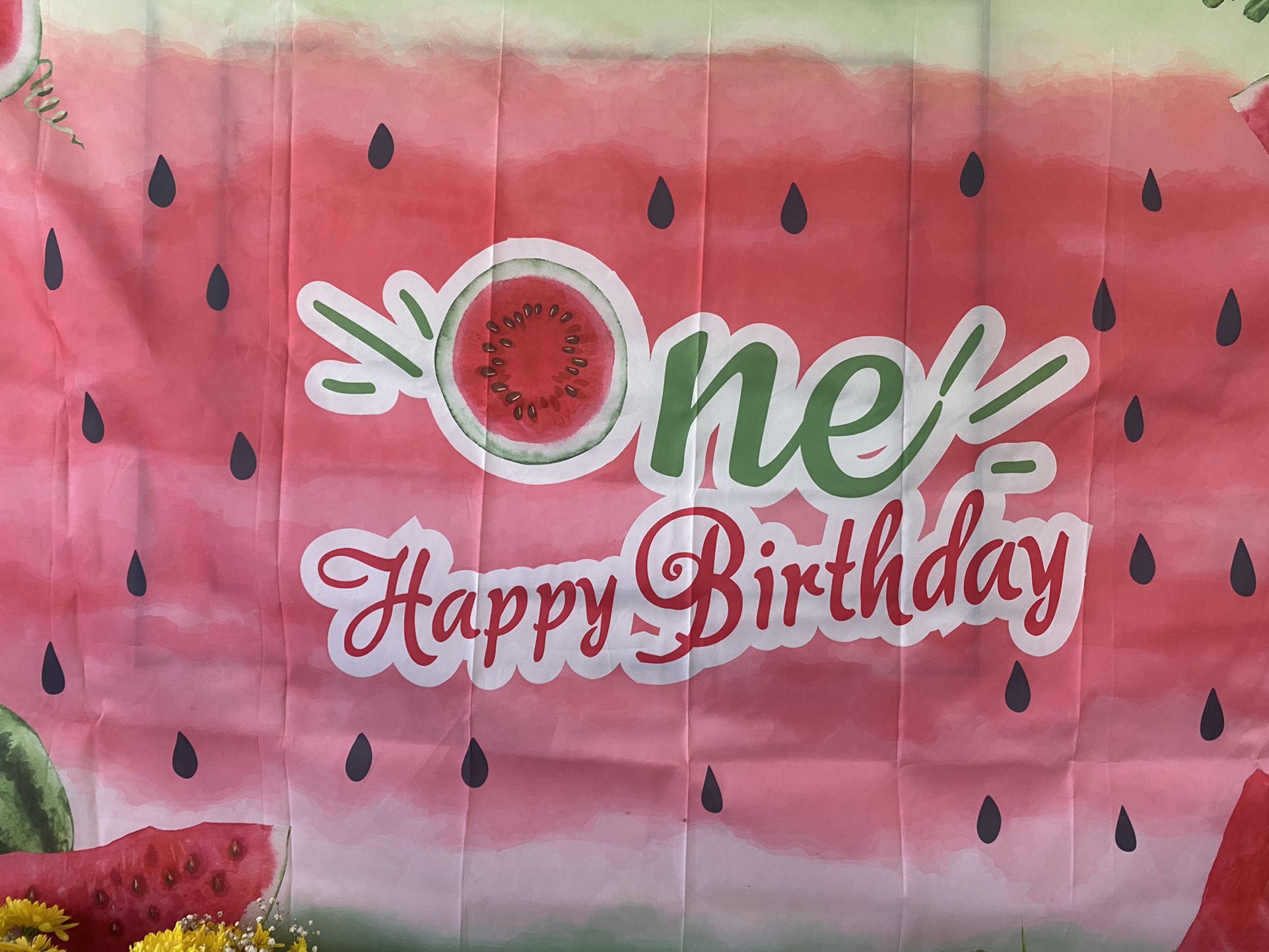 ONE IN A MELON PARTY SUPPLIES