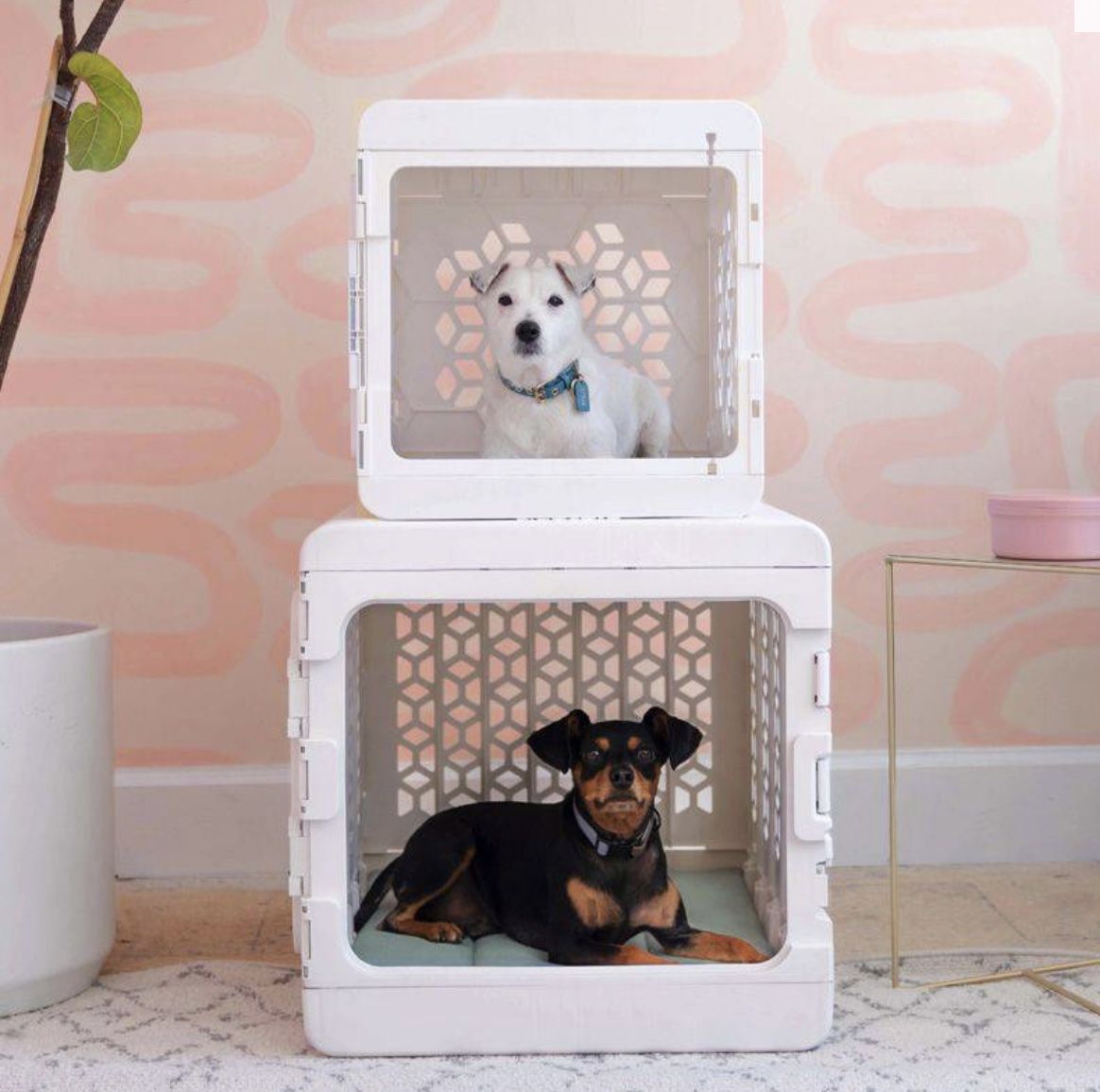 PAWD® Modern Collapsible Dog Crate - Size Small / White
