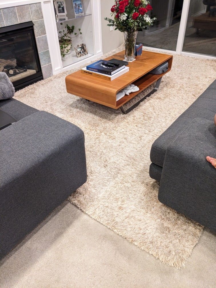 Crate & Barrel Zia Shag Rug 8x10