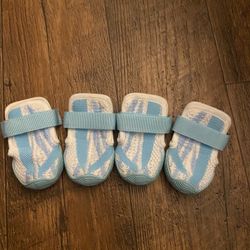 Pet Shoes 