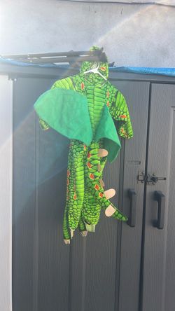 Toddler Dragon Sz Lg costume