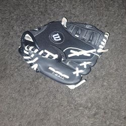 Tball Glove