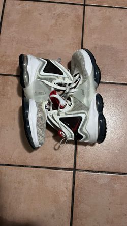 LeBron 19