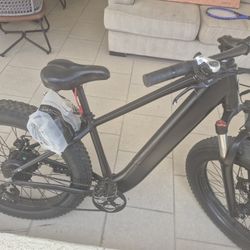 Electric bike 