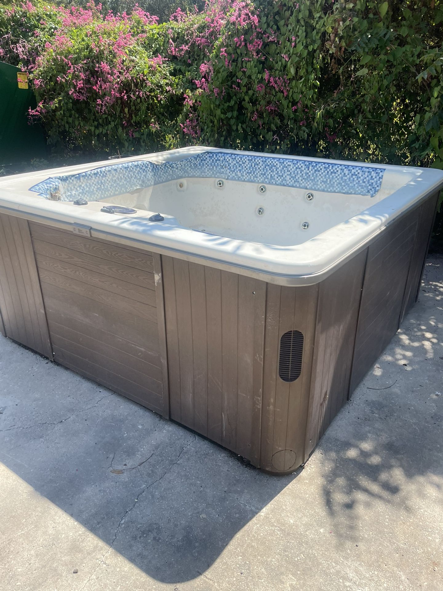 Free Hot Tub (needs Control Panel)