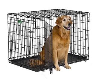 iCrate 42” Dog Crate - Like New