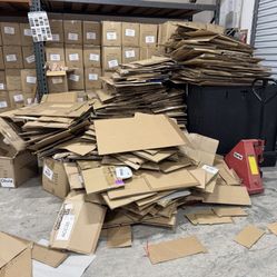 FREE Cardboard