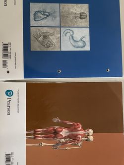 Como Nuevo Anatomy 2