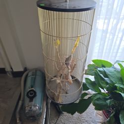 Bird Cage