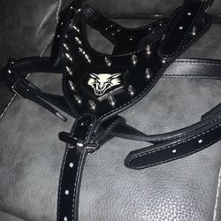 Dog harness