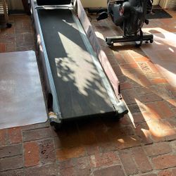 Dog Exercise Treadmill
