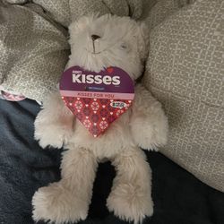 Teddy Bear With Chocolates