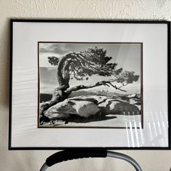 Framed pictures