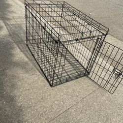 Dog House