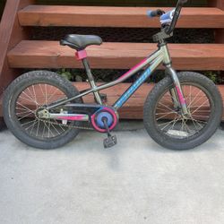 Specialized Rip Rock Childrens Bike