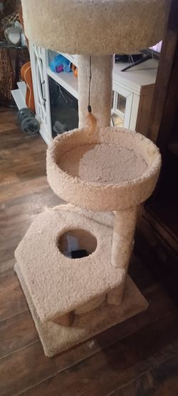 Cat house