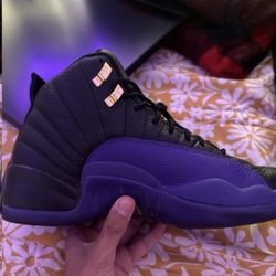 Jordan 12 Court Purple Size 9 used